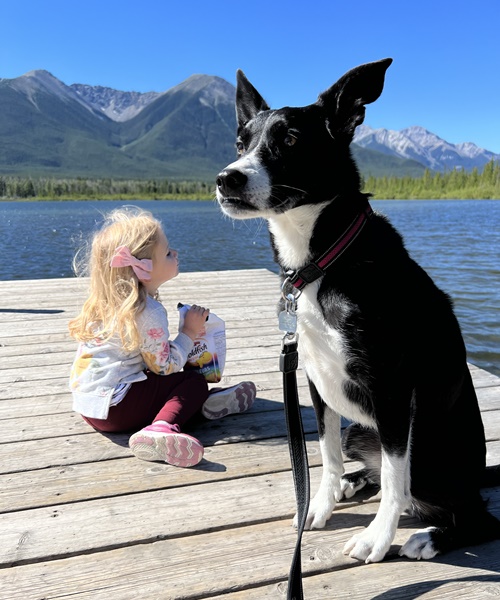 Dog sitting next to a child